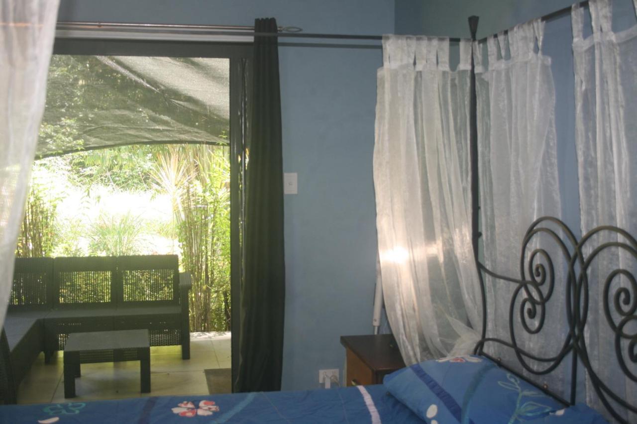 Daintree Rainforest Accommodation Cow Bay Bagian luar foto