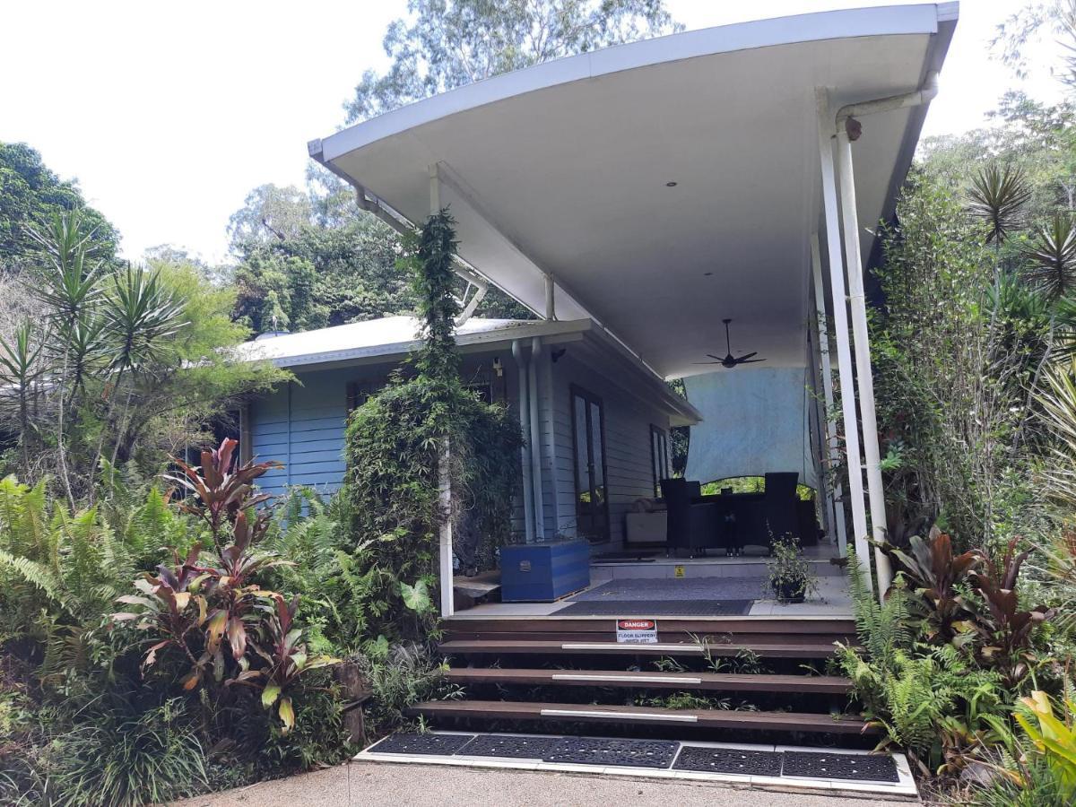 Daintree Rainforest Accommodation Cow Bay Bagian luar foto
