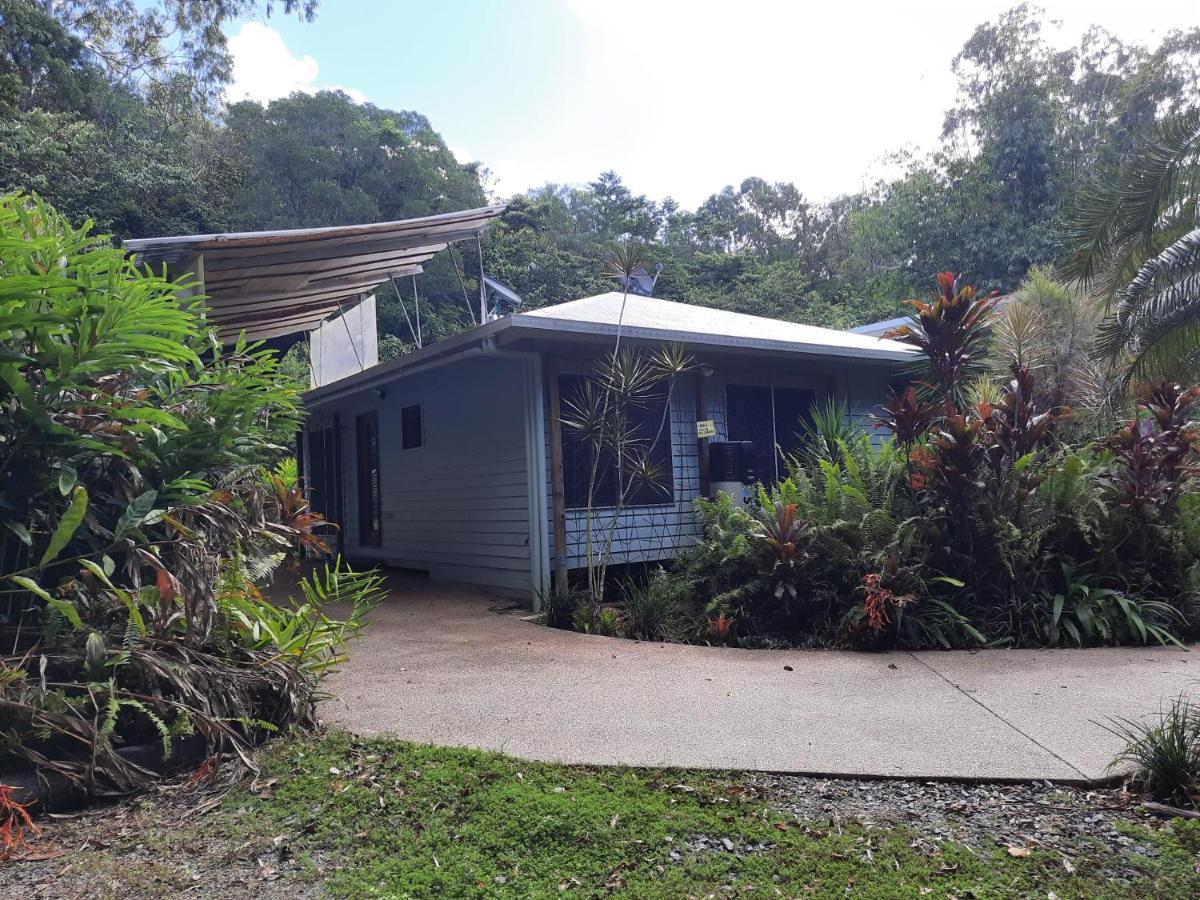 Daintree Rainforest Accommodation Cow Bay Bagian luar foto
