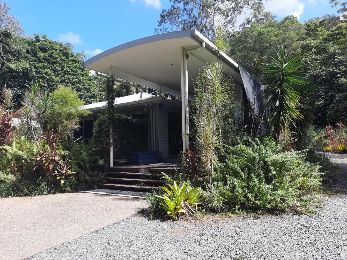 Daintree Rainforest Accommodation Cow Bay Bagian luar foto
